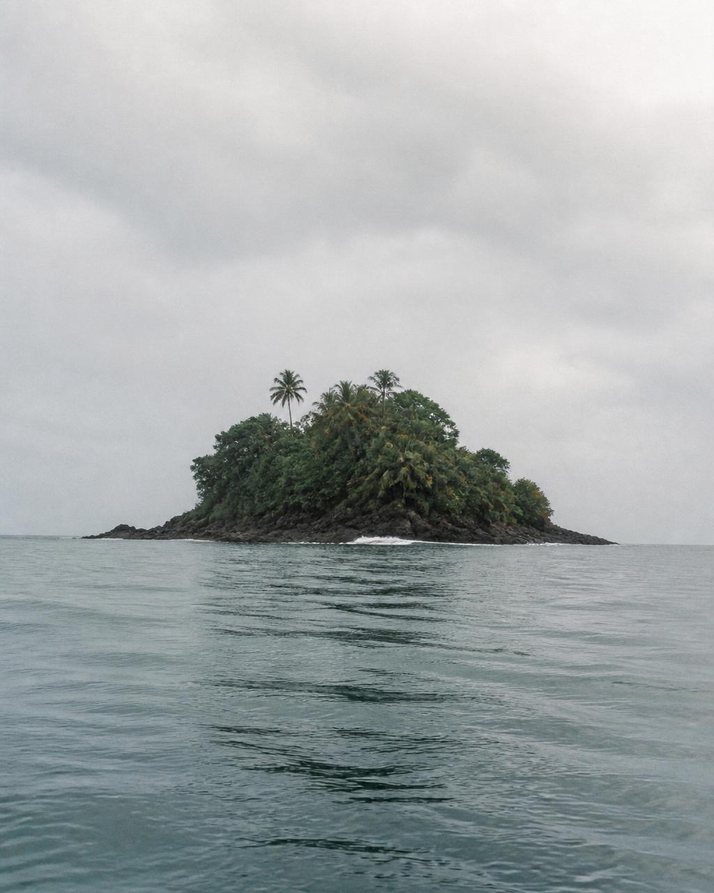 Small lush jungle island in calm turquoise sea